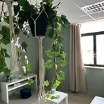 Botanical