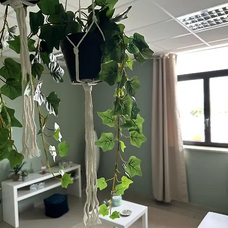 Botanical
