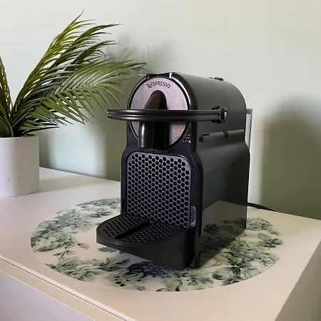 B&B Botanical 바리