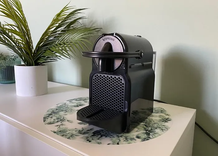 B&B Botanical 바리